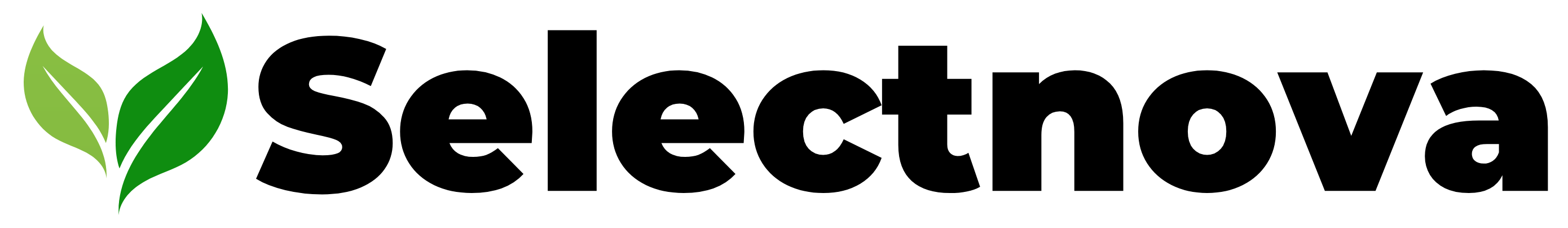 Logo - Selectnova - Noir
